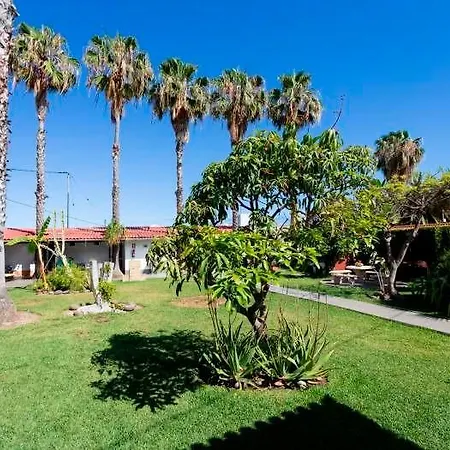 Ferienwohnung Auf Grosser Finca - F4046 - #92429 Διαμέρισμα Icod De Los Vinos
